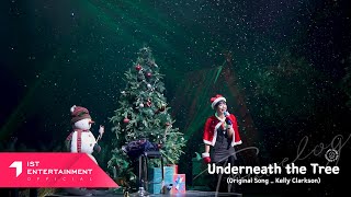 [影音] 鄭恩地 - Underneath the Tree