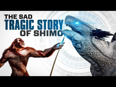 The Sad Backstory of Shimo EXPLAINED