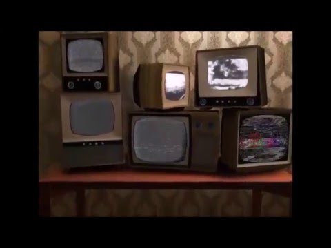 Cucumber and the Suntans in INSTAGRAMMER