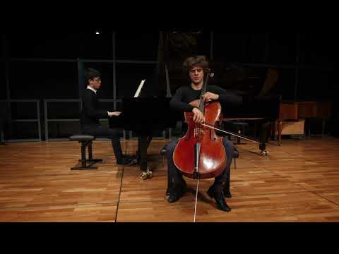 Joseph Haydn : concerto for cello and orchestra in C major : first movement without cadenza