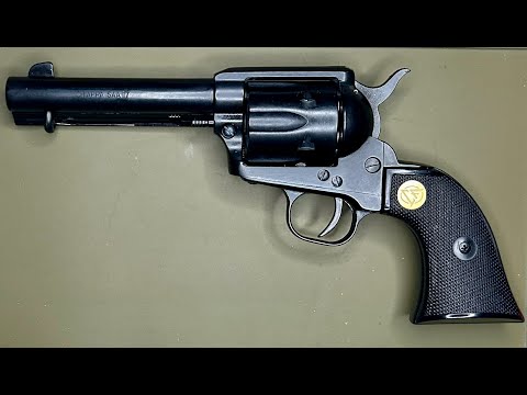 Chiappa 1873 Buntline .22lr **RACKNLOAD RANGE TIME**