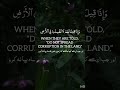 Surah Baqarah (9-12) Beautiful Recitation by Tareq Mohammad #quranrecitation #qurantilawat #quran