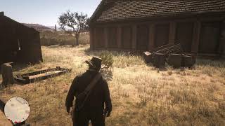 RDR2 5周目 #161