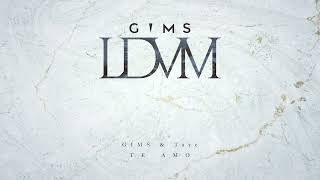 GIMS & Tayc - TE AMO (Audio Officiel)