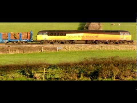 56094  on logs  Saturday 2 nd Feburary 2013