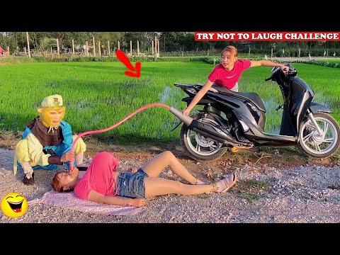 Try Not To Laugh 🤣 🤣 Top New Comedy Videos 2021 - Episode 113 | Sun Wukong