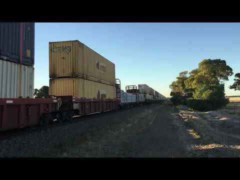 freight train 5PM9 CF4403 CF4410