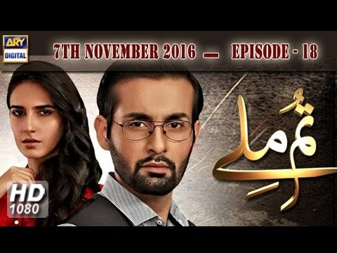 Tum Milay Episode – 18 – 7th November 2016 | ARY Digital Drama