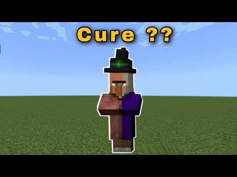 Minecraft : Can We Cure the Witch ???