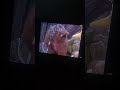 Sesame Street Episode 1854 Ending