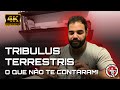 TRIBULUS TERRESTRIS - O QUE NÃO TE CONTARAM!