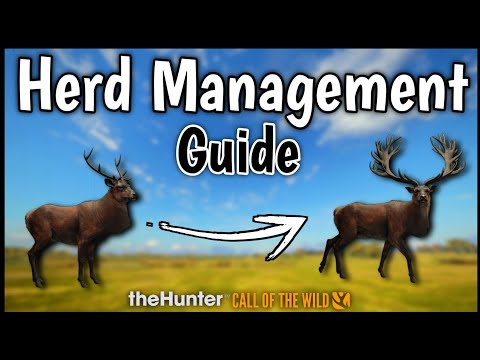 The ULTIMATE Herd Management GUIDE For 2025! - Call of the Wild