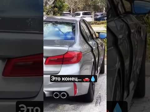 Утопленник — выгодно или нет? #subscribe #automobile #top #обзор #m11 #рек #молдова