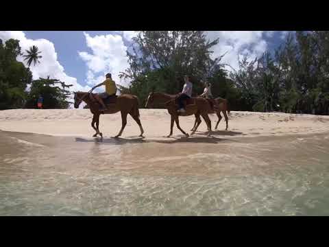 Videos del Mango Bay 5★ en Saint James, BarbadosVer MásVerPrecios20CerrarConsulta por Whatsapp 🇦🇷BookingTripadvisorExpediaAgodaTravelocityOrbitzPricelineTripSkyscannerDespegarKayakHotelesBestdayTrivagoTurismocityAlmundoLastminuteHotwireTuiWotif