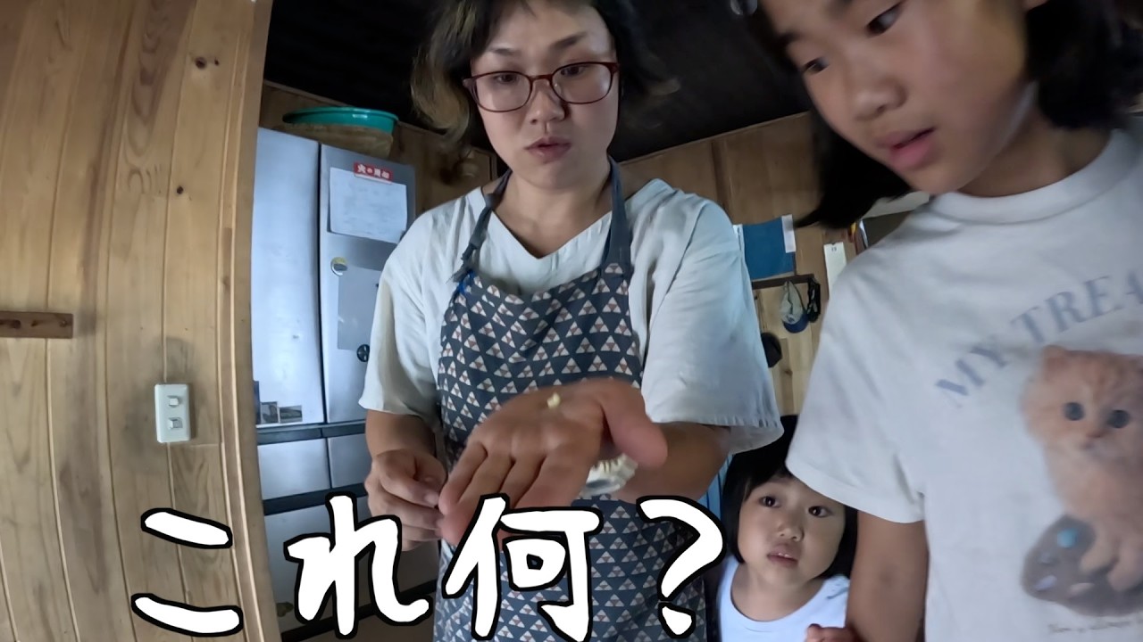 山暮らし家族のとある1日#334【ウルルン滞在記を観る気持ちで視聴を推奨】