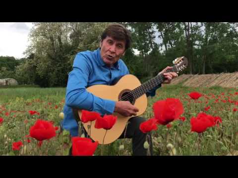 GIANNI MORANDI - PAPAVERI E PAPERE