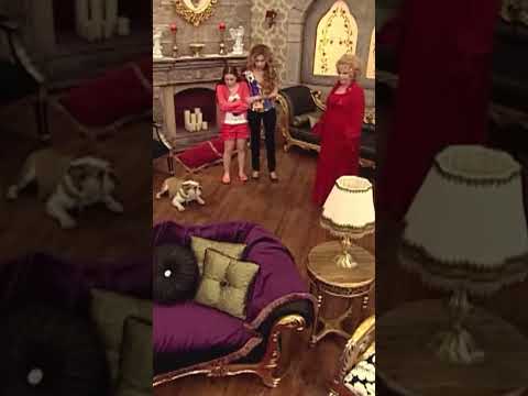 Taci Yeniden Köpek Oldu 😥 - Sihirli Annem #shorts