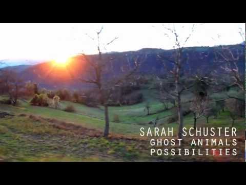 Sarah Schuster - Ghost animals