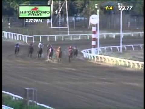 1RA CARRERA JUEVES 27 DE FEBRERO 2014 HPR