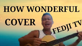 HOW WONDERFUL || COVER || LEELAND