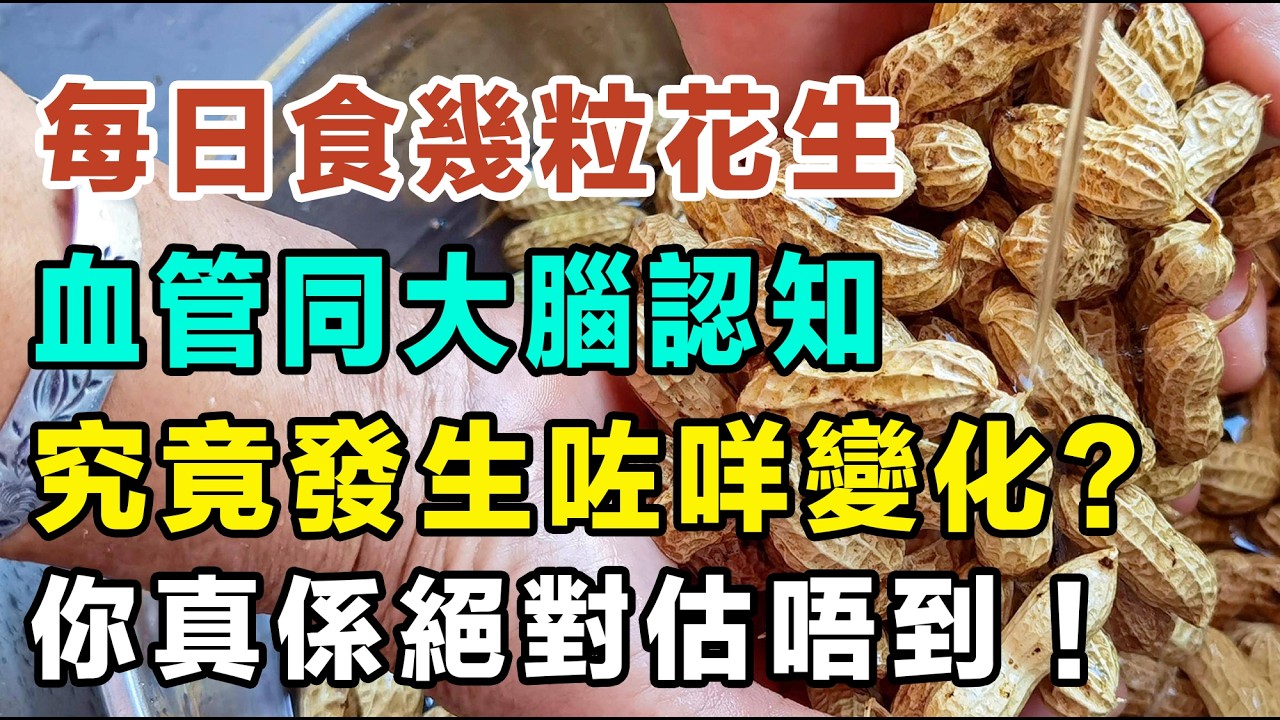 每日食幾粒花生，竟然可以防中風降血壓？花生，又叫做「長壽果」！長期食花生嘅人，血管同大腦認知究竟發生咗咩變化？花生仲可以潤肺止咳，改善咳同痰多！#防中風 #降血壓 #通血管 #心血管健康