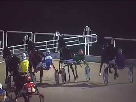 Trotto 09/11/2018 - 5ª corsa