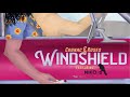 Windshield Feat NIKO IS Announcement