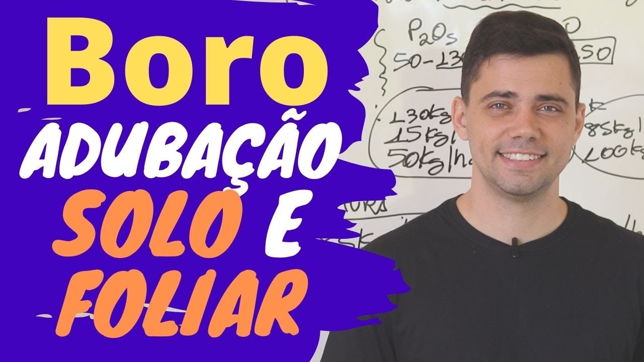 BORO - Adubação foliar e via solo!