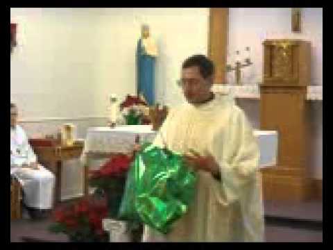 Baptism of the Lord homily - 1/11/15 - Fr. Michael Haag