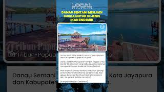 Danau Sentani di Papua Dihuni 33 Jenis Ikan, Termasuk Endemik seperti Ikan Pelangi Sentani
