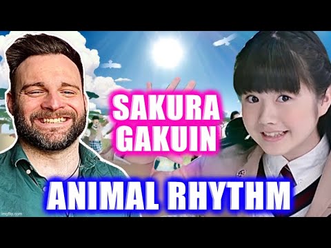Reacting to SAKURA GAKUIN - ANIMAL RHYTHM MV & TAKARAMONO (GD)! | GAKUIN QUEEN! 😁🦊