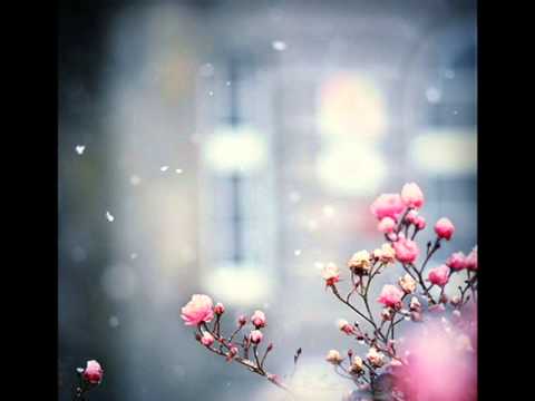 ☆ Šípková Růženka - Jiří Schelinger