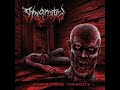 Brutal Death Metal 2023 Full Album STAGNATED Persecuted Insanity
