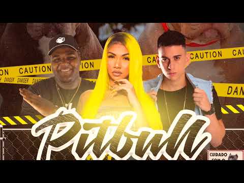 MC THAY RJ - PITBULL ( DJ´S JR DO MD & LAFON )