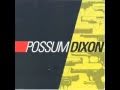 Possum Dixon - She Drives