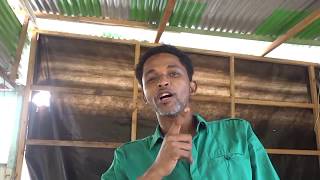 PEACE IS A LIFE NO PEACE NO LIFE