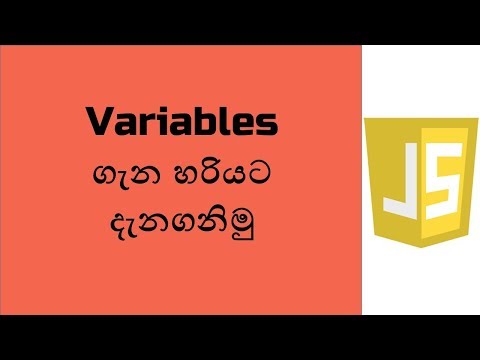 How To Use Variables In Javascript Web Development Learn Javascript Js Tutorial Sinhala