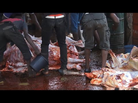 See What Benue's Wurukum Abattoir Looks Like