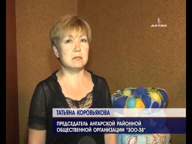 Любителей животных ждут на благотворительной акции