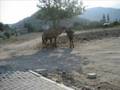 Bolshe ne zabit eto leto 
