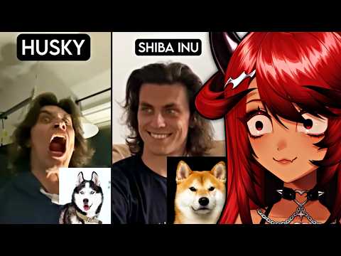 How Dog Breeds React to Robbers (Jauncydev Reaction)