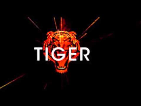 R3hab vs Skytech & Fafaq - Tiger (Official Audio)