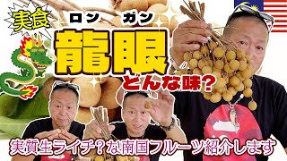 東南アジアのおすすめフルーツ『龍眼(ロンガン)』をご紹介します#マレーシア #海外移住