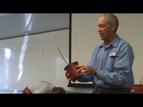 Cleft Graft Demonstration - 2023 Ohio Pawpaw Conference