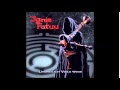 Ignis Fatuu - Die Pforte 