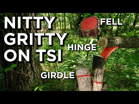 Different TSI Techniques You NEED To Know!