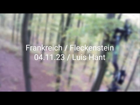 Drückjagd auf Rehwild / Frankreich / mit dem Bogen und Klettersitz