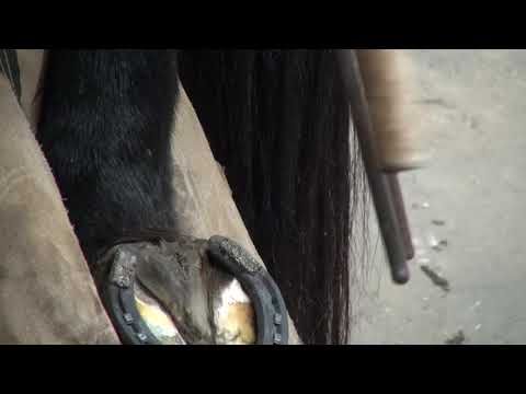 Slide 9 - Liberty Hybrid 2 CU Copper Shield Nails 250pcs  (video)