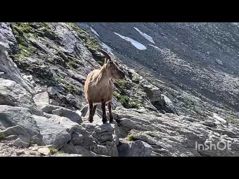 VALSUSA, LA BELLEZZA DI GRANGE DELLA VALLE E IL RIFUGIO LEVI MOLINARI