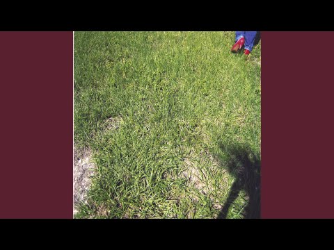 You Loot, I'll Shoot